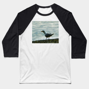 Seagull Baseball T-Shirt